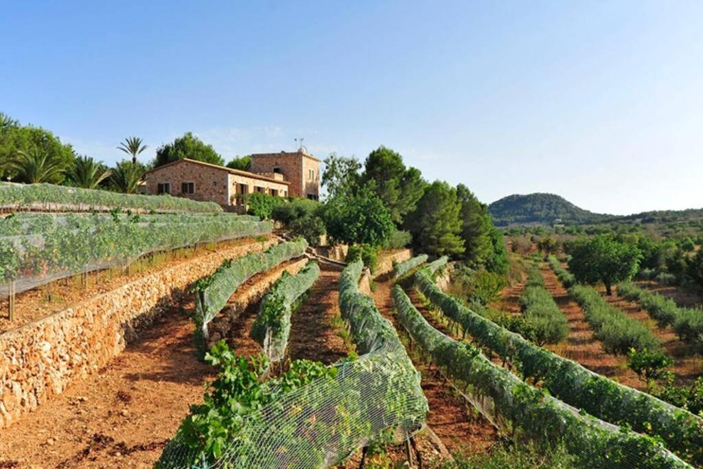 Es Castell De Ca N'Alou De Ses Cases Noves S'Horta Bagian luar foto