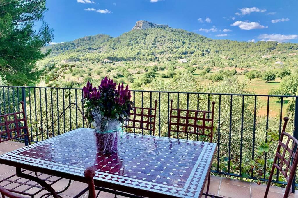 Es Castell De Ca N'Alou De Ses Cases Noves S'Horta Bagian luar foto